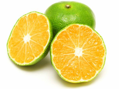 Lܳʲôˮ