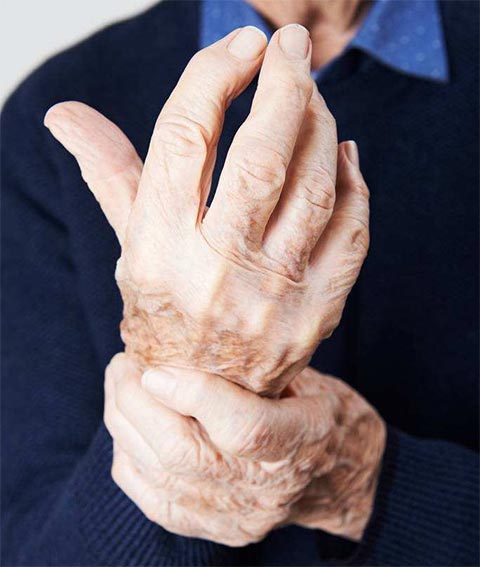 Lô